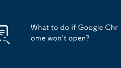 Was tun, wenn Google Chrome nicht ge?ffnet wird?