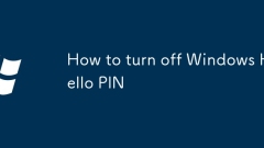 Windows Hello PIN? ?? ??