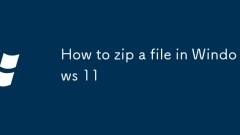 Windows 11?? ??? ???? ??
