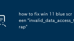 如何修復(fù)Win 11藍(lán)屏' Invalid_data_access_trap”