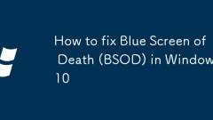 如何修復(fù)Windows 10中的藍(lán)屏死亡屏(BSOD)