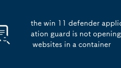 Win 11 Defender Applicat Guard沒有在容器中打開網(wǎng)站