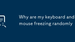 Pourquoi mon clavier et mon souris se contentent-ils de manière aléatoire