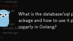 Apakah pakej pangkalan data/SQL dan bagaimana menggunakannya dengan betul di Golang?