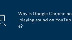 Pourquoi Google Chrome ne joue-t-il pas au son sur YouTube?