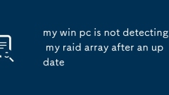 Mein Win -PC erkennt mein RAID -Array nach einem Update nicht