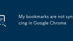 Meine Lesezeichen synchronisieren nicht in Google Chrome