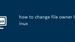 파일 소유자 Linux를 변경하는 방법