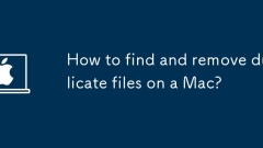 How to find and remove duplicate files on a Mac?