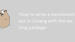 Cara Menulis Ujian Penanda Aras di Golang dengan Pakej Ujian