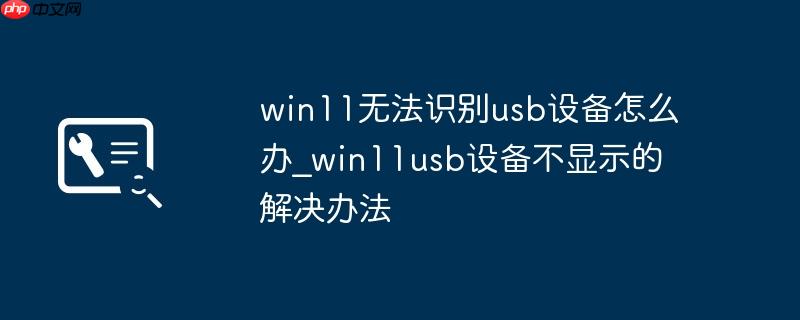 win11无法识别usb设备怎么办_win11usb设备不显示的解决办法