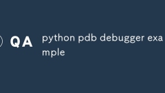 Python PDB 디버거 예제
