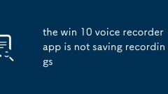 Die Win 10 Voice Recorder -App speichert keine Aufnahmen