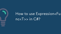 Wie benutze ich Expression in C#?