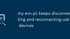 Mein Win -PC trennen und verbinden USB -Ger?te immer wieder an und verbinden sie wieder an