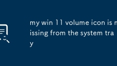 Mein Gewinn 11 -Volumen -Symbol fehlt in der Systemschale