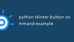 python tkinterボタンコマンドの例