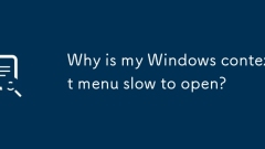 Warum wird mein Windows -Kontextmenü langsam ge?ffnet?