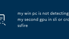 Mein Win -PC erkennt meine zweite GPU in SLI oder Crossfire weder