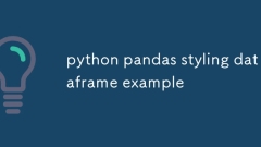 Python Pandasスタイリングデータフレームの例