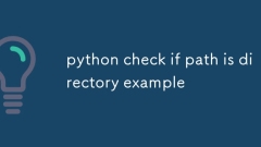 Python Vérifiez si le chemin est un exemple de répertoire