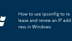 How to use ipconfig to release and renew an IP address in Windows