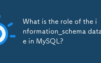 What is the role of the information_schema database in MySQL?