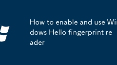 So aktivieren und verwenden Sie Windows Hello Fingerabdruck -Leser