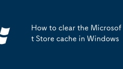 So l?schen Sie den Microsoft Store -Cache in Windows