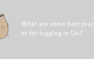 Was sind einige Best Practices für die Anmeldung in Go?