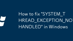 So fixieren Sie 'system_thread_exception_not_handled' in Windows
