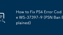 Comment corriger le code d'erreur PS4 WS-37397-9 (PSN Ban expliqué)