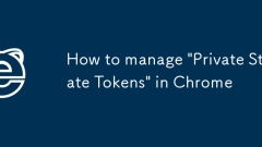 Wie man 'private staatliche Token' in Chrome verwaltet