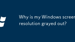 Warum wird meine Windows -Bildschirmaufl?sung ausgegraut?