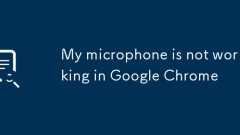 ? ???? Google ???? ???? ????