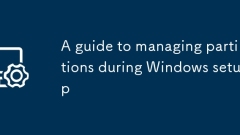 Eine Anleitung zum Verwalten von Partitionen w?hrend des Windows -Setups