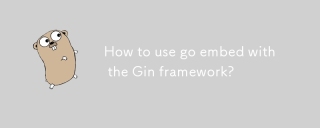 How to use go embed with the Gin framework?