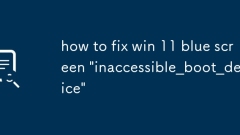 So reparieren Sie Win 11 Blue Screen 'Inactible_boot_device'.