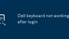 Dell -Tastatur funktioniert nach dem Anmeldung nicht