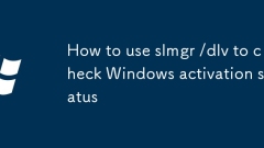 So verwenden Sie SLMGR /DLV, um den Windows -Aktivierungsstatus zu überprüfen