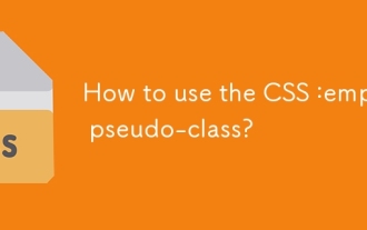 如何使用CSS:空偽級?