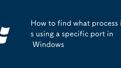 How to find what process is using a specific port in Windows