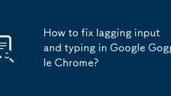 Wie repariere ich die Verz?gerungseingabe und das Eingeben von Google Goggle Chrome?