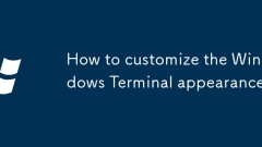 How to customize the Windows Terminal appearance
