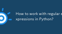 Wie arbeite man mit regulären Ausdrücken in Python?