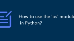 Wie benutze ich das 'Betriebssystem' -Modul in Python?
