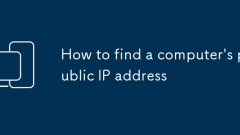 How to find a computer's public IP address