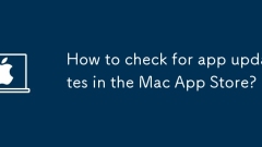 Bagaimana cara menyemak kemas kini aplikasi di kedai aplikasi Mac?