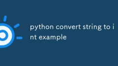 Python konvertieren String in Int Beispiel