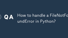 Wie gehe ich mit einem Filenotfounderror in Python um?